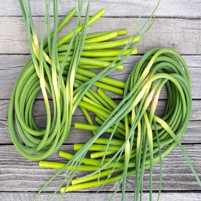 Garlic Scapes: The Gourmet Green You’re Probably Ignoring