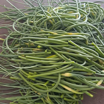 Scapes