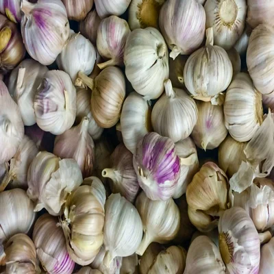 Corsican Red